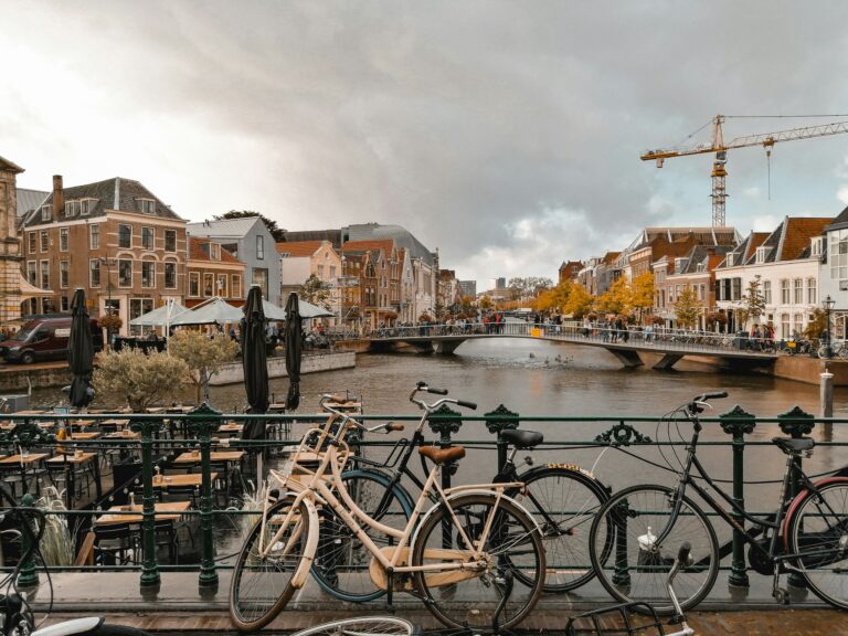 verhuizen leiden 3